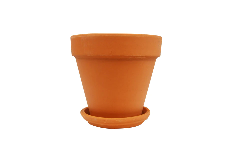Terra Cotta Planters Pot