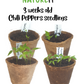 3 weeks old Chili pepper plants seedlings grown from seed using Natureit hot chili peppers seed starter kit