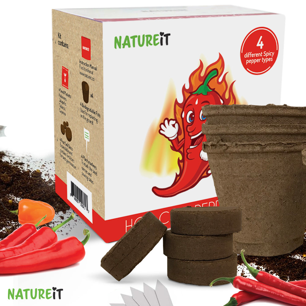 Hot chili peppers seed starter kit - Everything you need to grow 4 Spicy chili peppers from seed