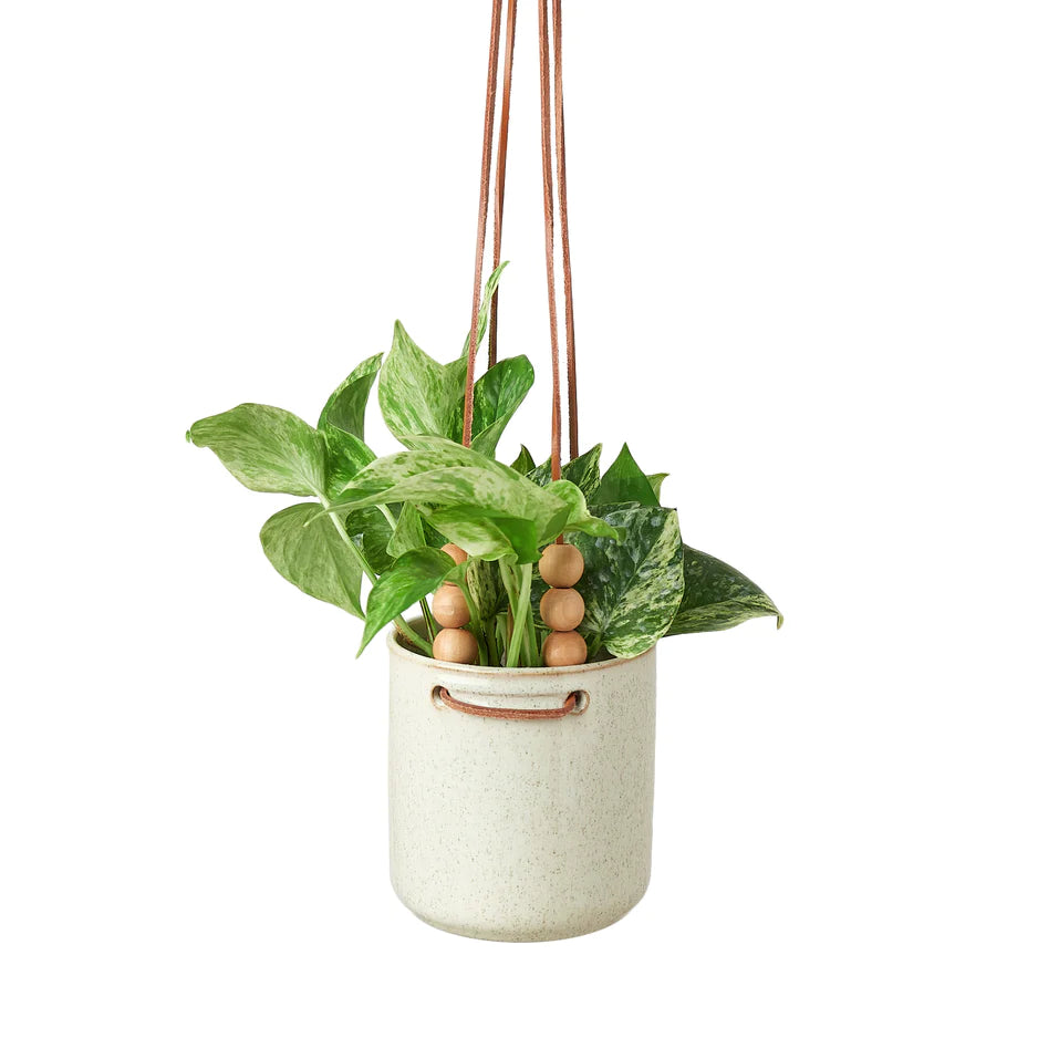 Shop Tomi Hanging Planter