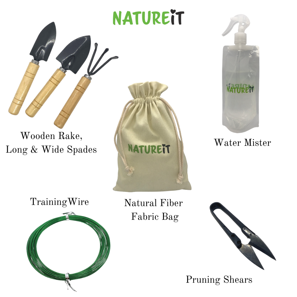A complete set of Essential Tools to care and grow a Bonsai tree from seed