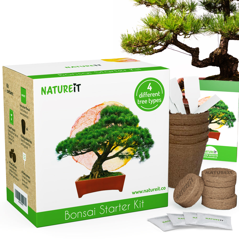 Bonsai Seed Starter Kit