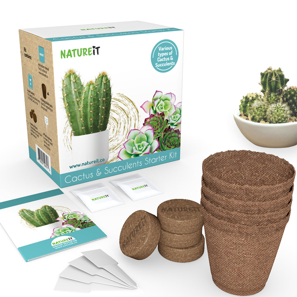 Cactus & Succulent Starter Kit - Grow Succulents from Seed