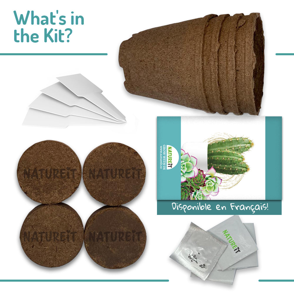 Bonsai Starter Kit + Cactus & Succulent Starter Kit Bundle