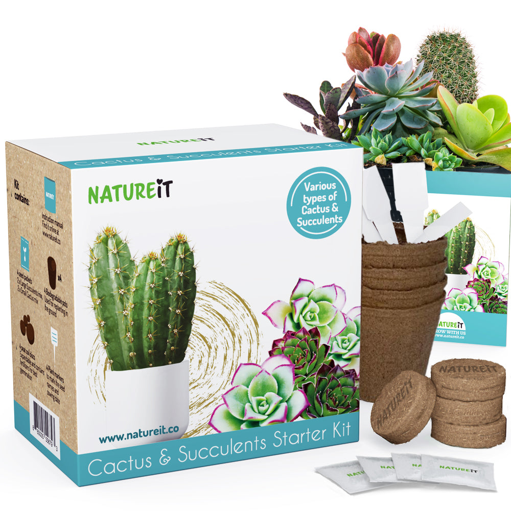 HOME GROWN Succulent & Cactus Seed Kit for Planting – [Enthusiasts  Favorites] Premium Cactus & Succulent Starter Kit: 4 Planters, Drip Trays,  Markers