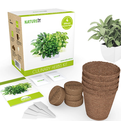 Bonsai + Herbs Starter Kit Bundle