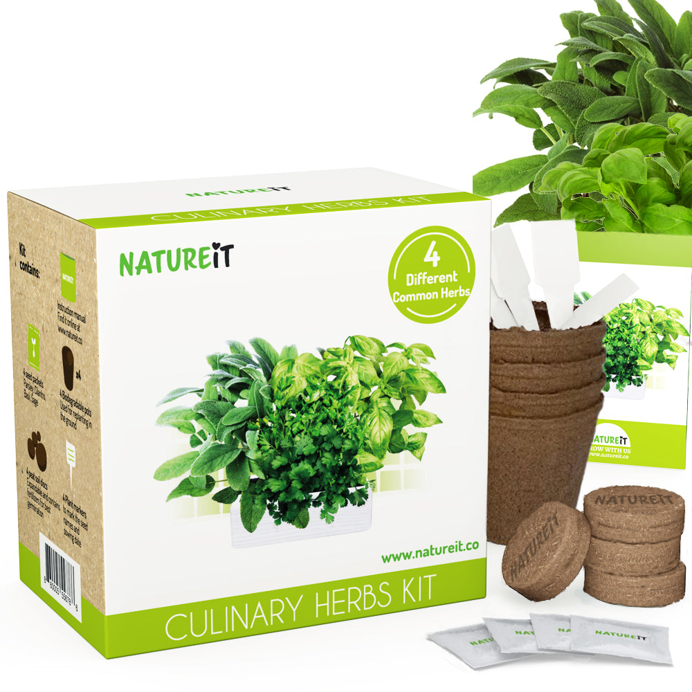 grow your own indoor plant kit Grow Your Own Herbs Starter Kit For Garden & Indoors