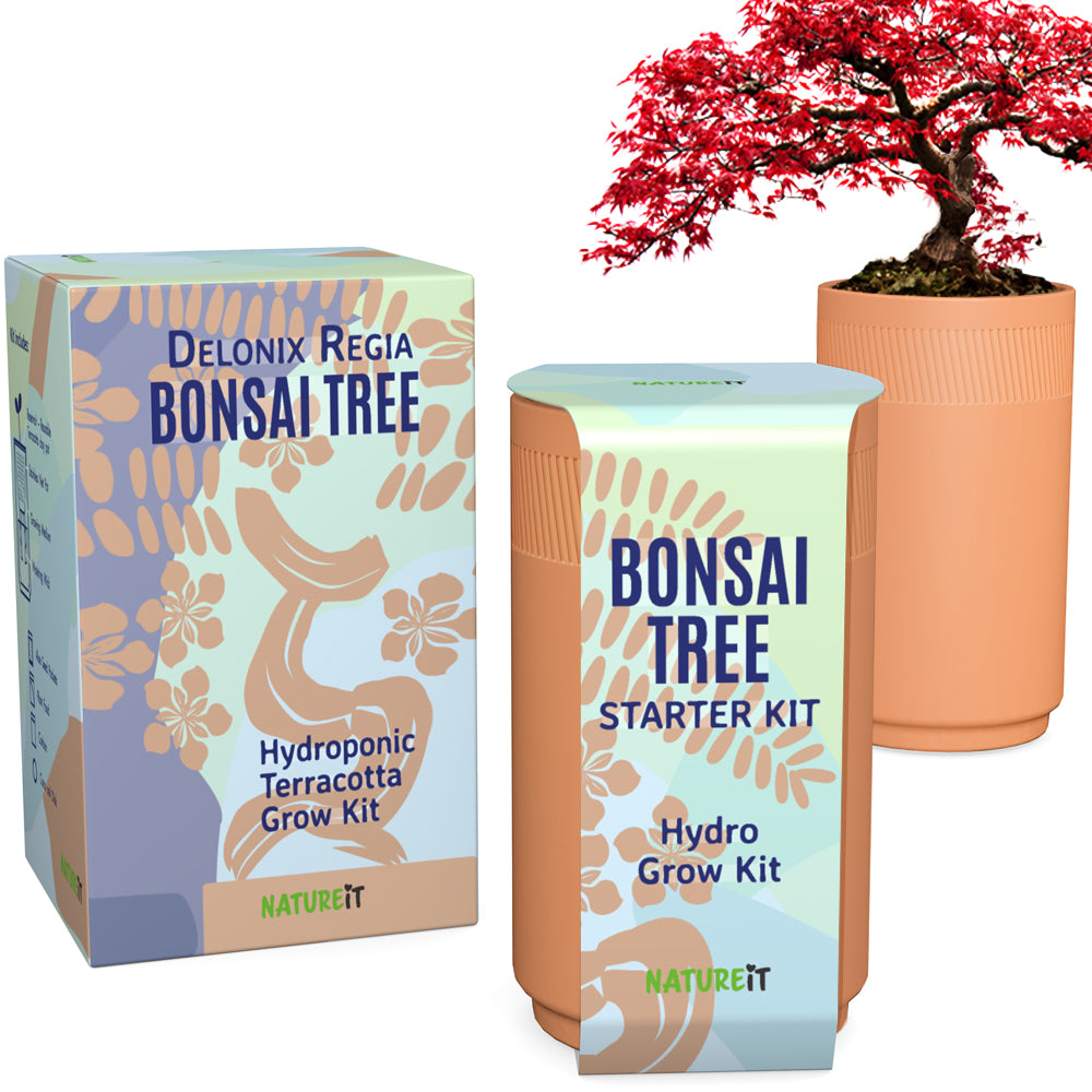 Bonsai & Aloe Vera Clay Hydro Premium Kit