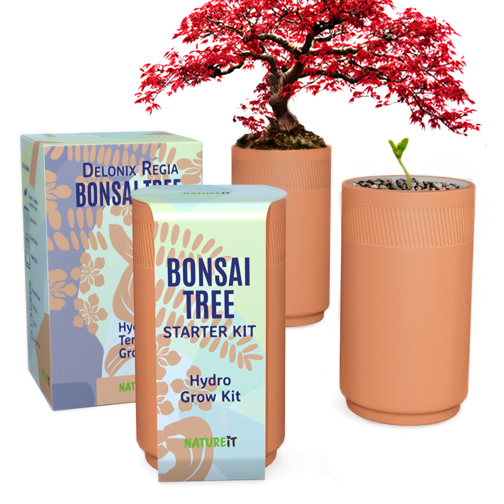 Bonsai & Aloe Vera Clay Hydro Premium Kit