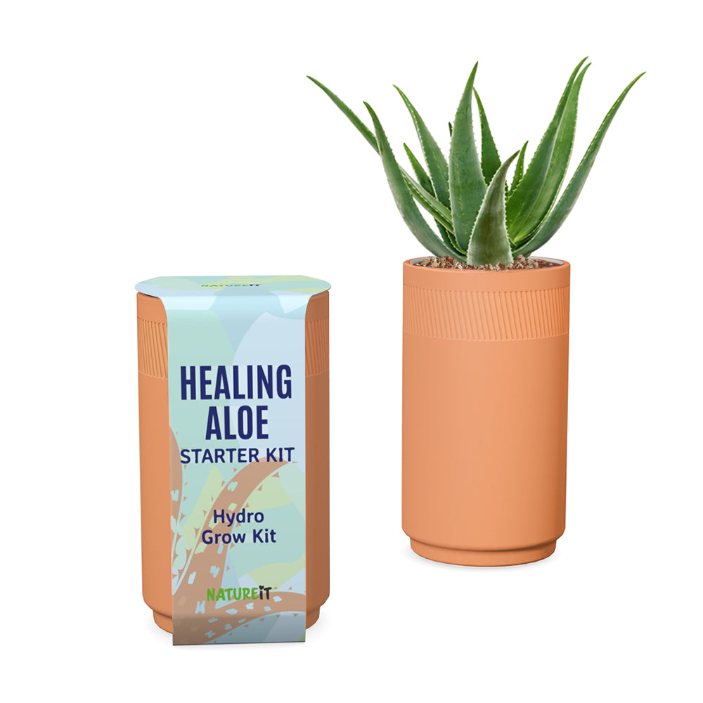 Bonsai & Aloe Vera Clay Hydro Premium Kit