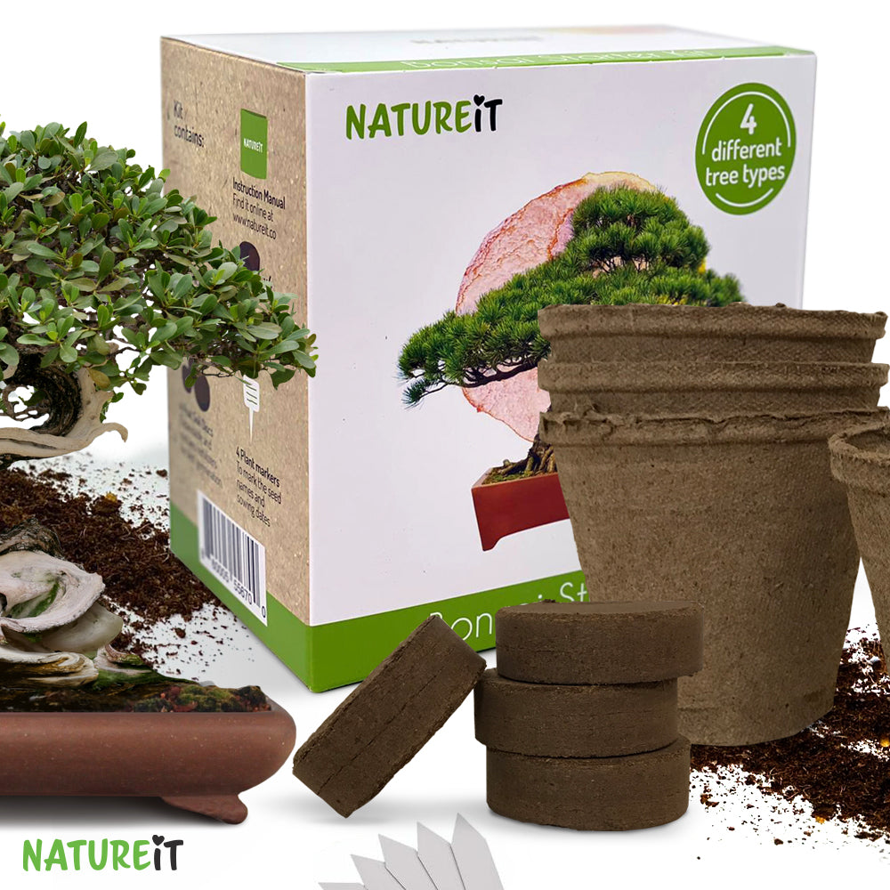 Natureit DIY Bonsai tree seed starter kit. The perfect gift for people who have everything or people who are impossible to buy for