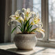 Easter Lily Plant – Elegant White Blooms & Sweet Fragrance