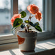 Begonia Plant – Stunning Patterned Foliage & Easy Indoor Care