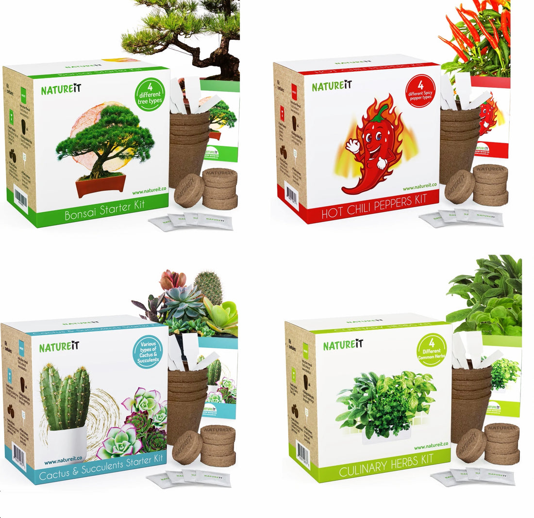 5 Reasons why growing kits are Great For Every Occasion