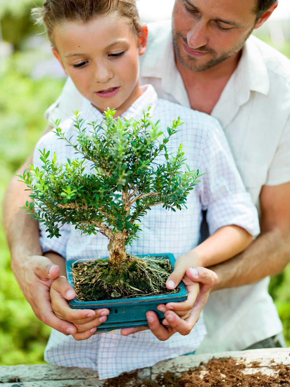 Father and son holding a Bonsai tree