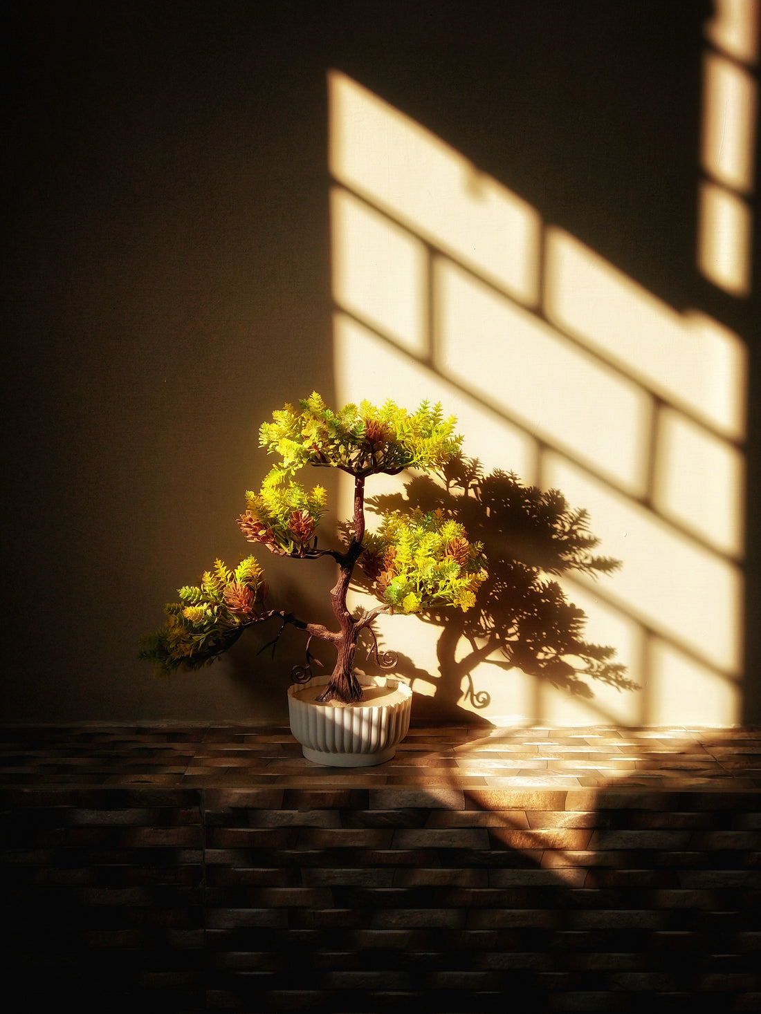 Understanding Lighting in Your Home and How It Affects Your Bonsai Plants