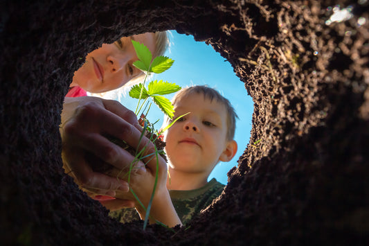kids planting seedling in the ground