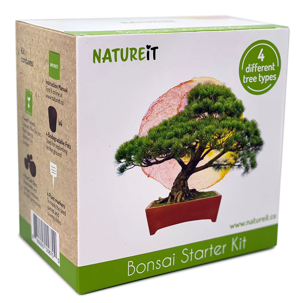 EASY BONSAI KIT - Plantes Kit de culture Bonzaï 4 graines