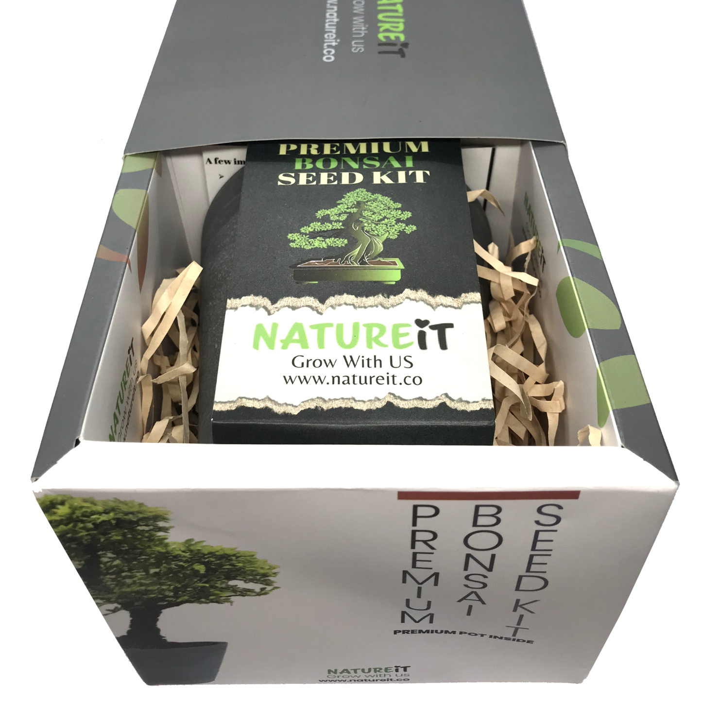 Natureit Easy to grow bonsai tree from seed premium bonsai tree seed starter kit