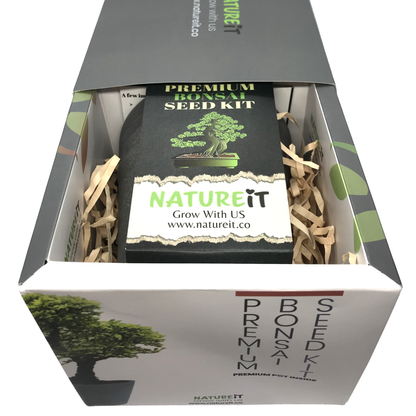grow bonsai tree from seed Bonsai Beginner Tree Starter Kit - DIY From Seed to Tree