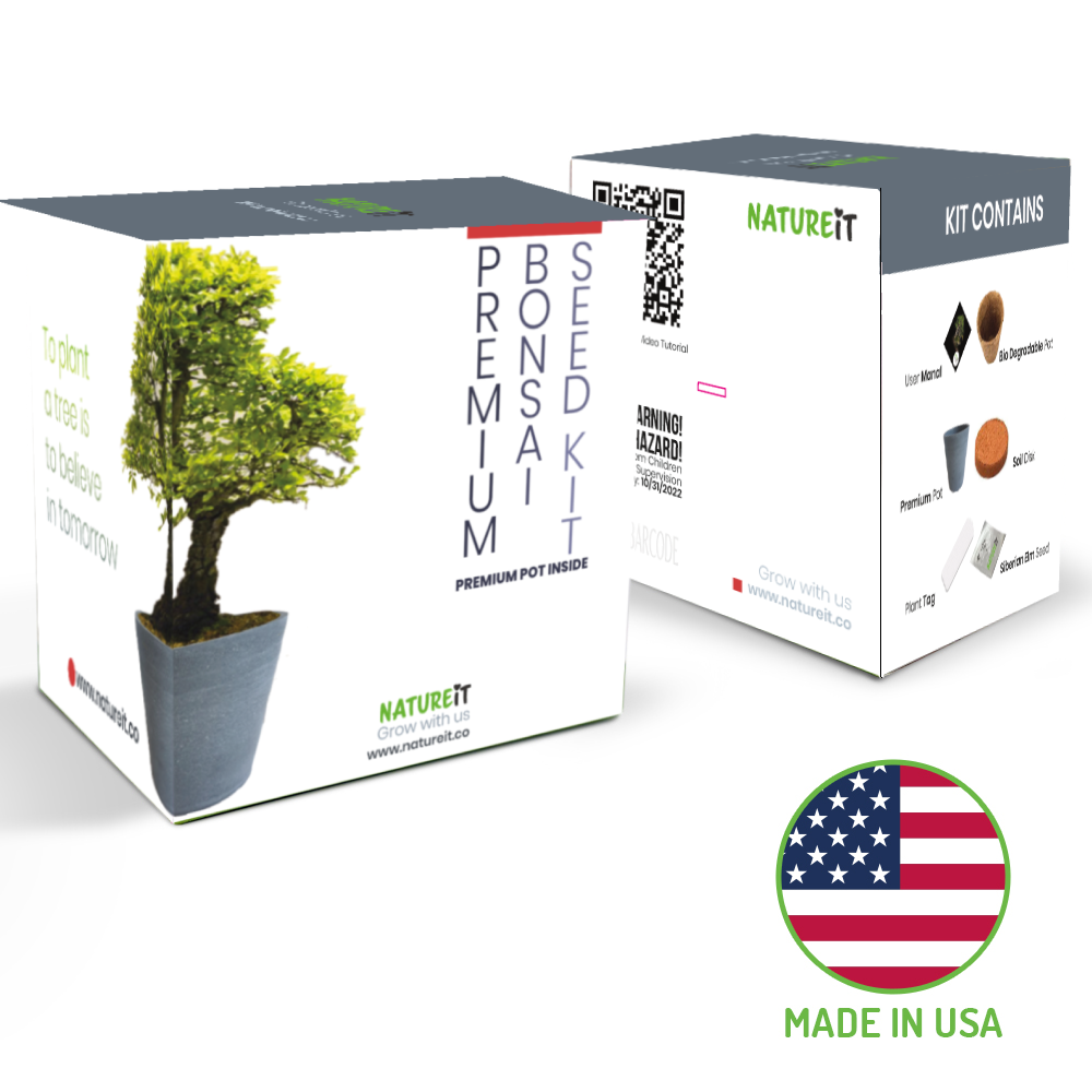 Natureit Easy to grow bonsai tree premium bonsai tree seed starter kit gift box Made in USA