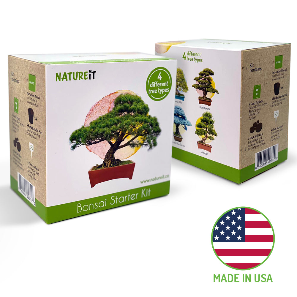 Grow a bonsai tree from seed Natureit Bonsai tree seed starter kit Made in USA