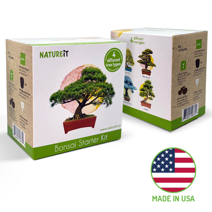Grow a bonsai tree from seed Natureit Bonsai tree seed starter kit Made in USA