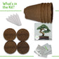 Bonsai Seed Starter Kit