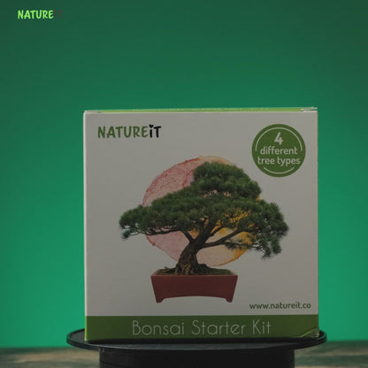 Bonsai Seed Starter Kit