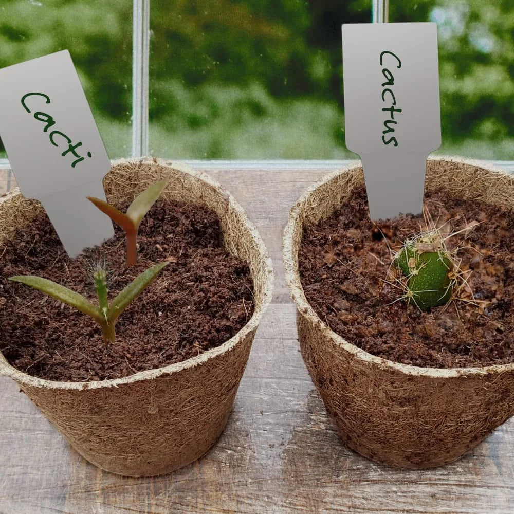  Cactus Succulent Seed Starter Kit - Indoor Garden