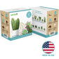 Cactus & Succulent Starter Kit - Grow Succulents from Seed