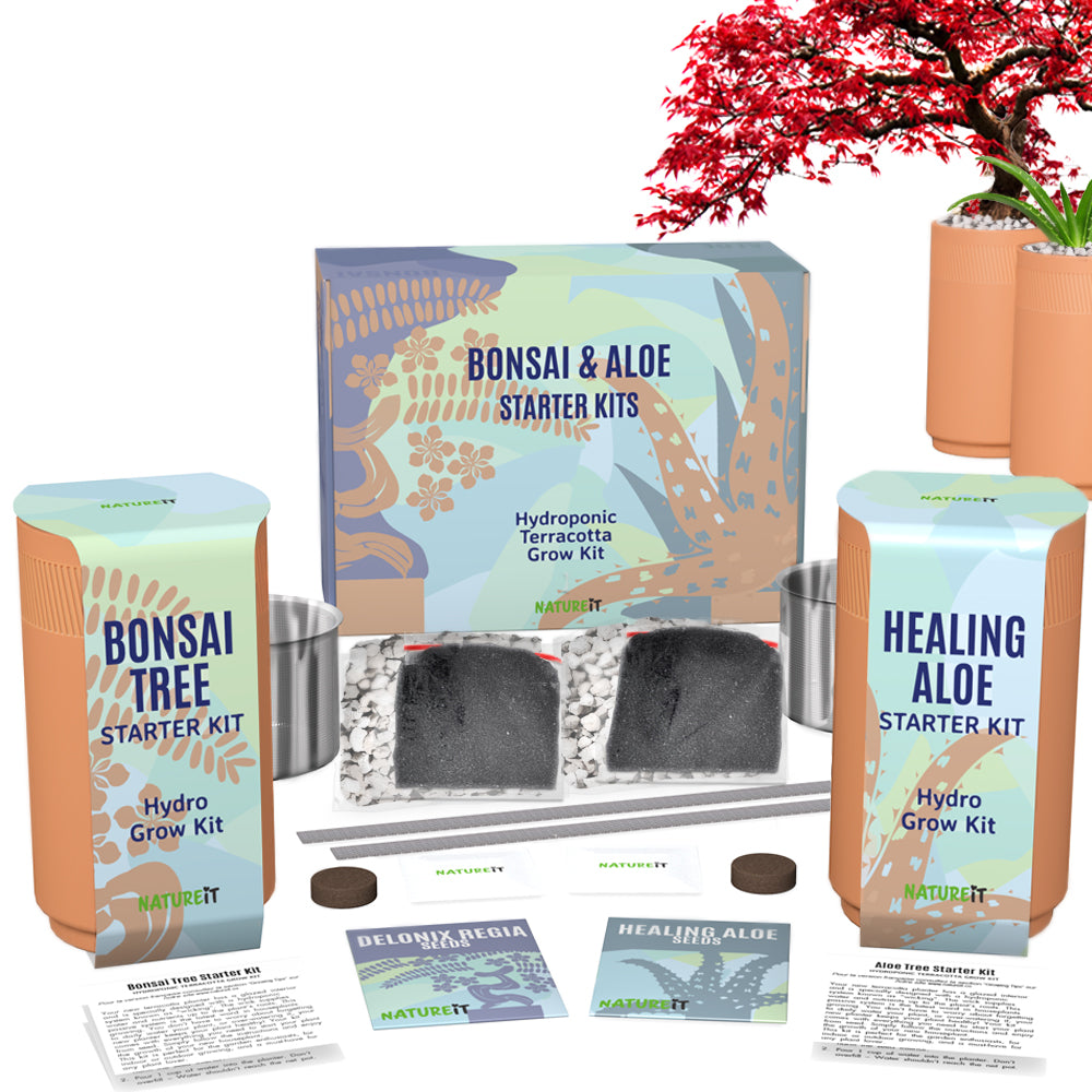 Bonsai & Aloe Vera Clay Hydro Premium Kit Bonsai + Aloe Vera Kit