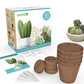 Bonsai Starter Kit + Cactus & Succulent Starter Kit Bundle