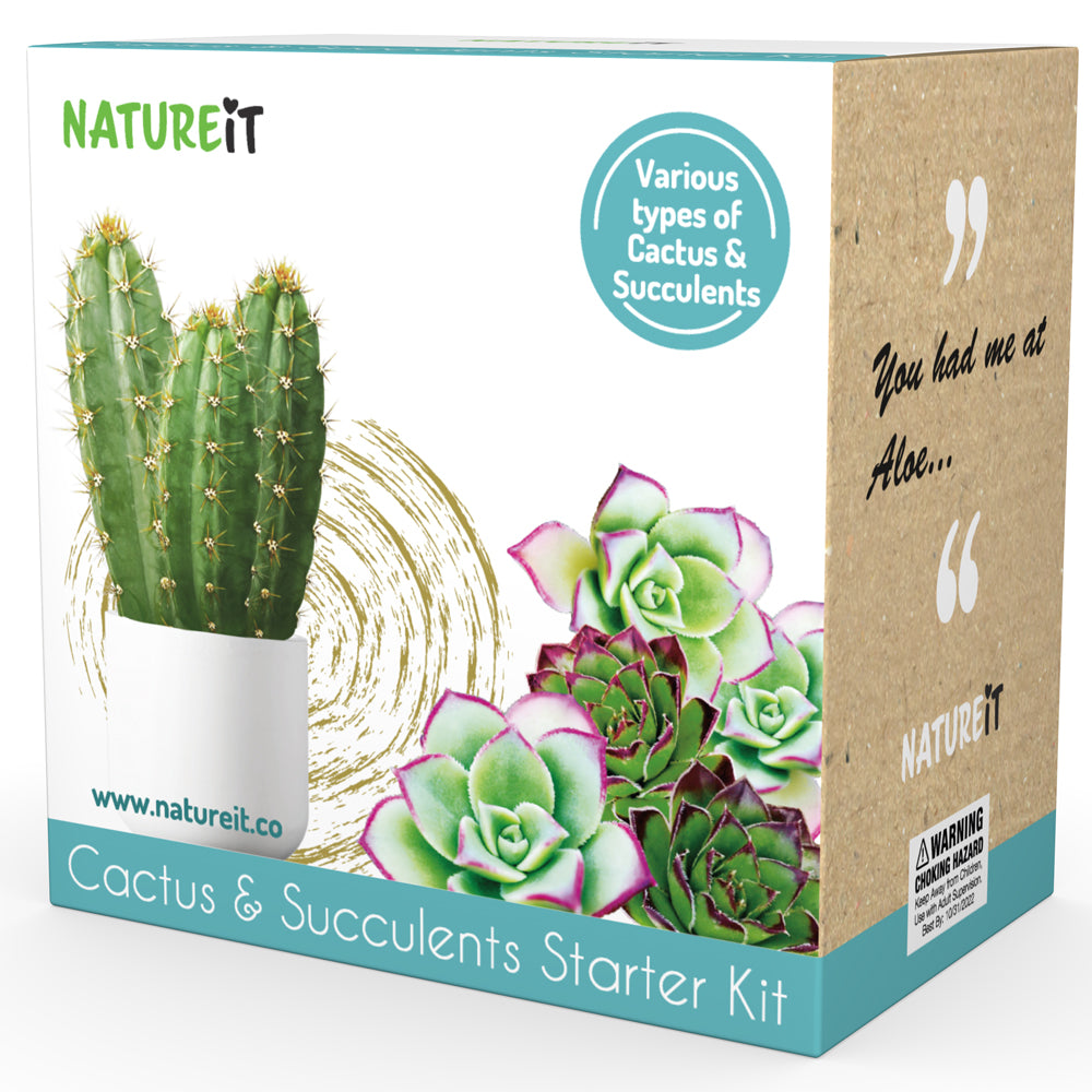 Growing Gardeners Cactus Class Kit