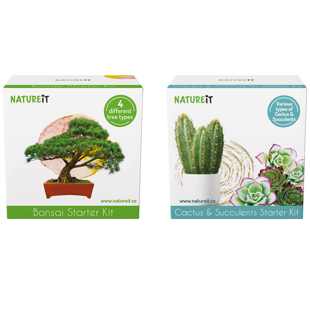 Bonsai Starter Kit + Cactus & Succulent Starter Kit Bundle