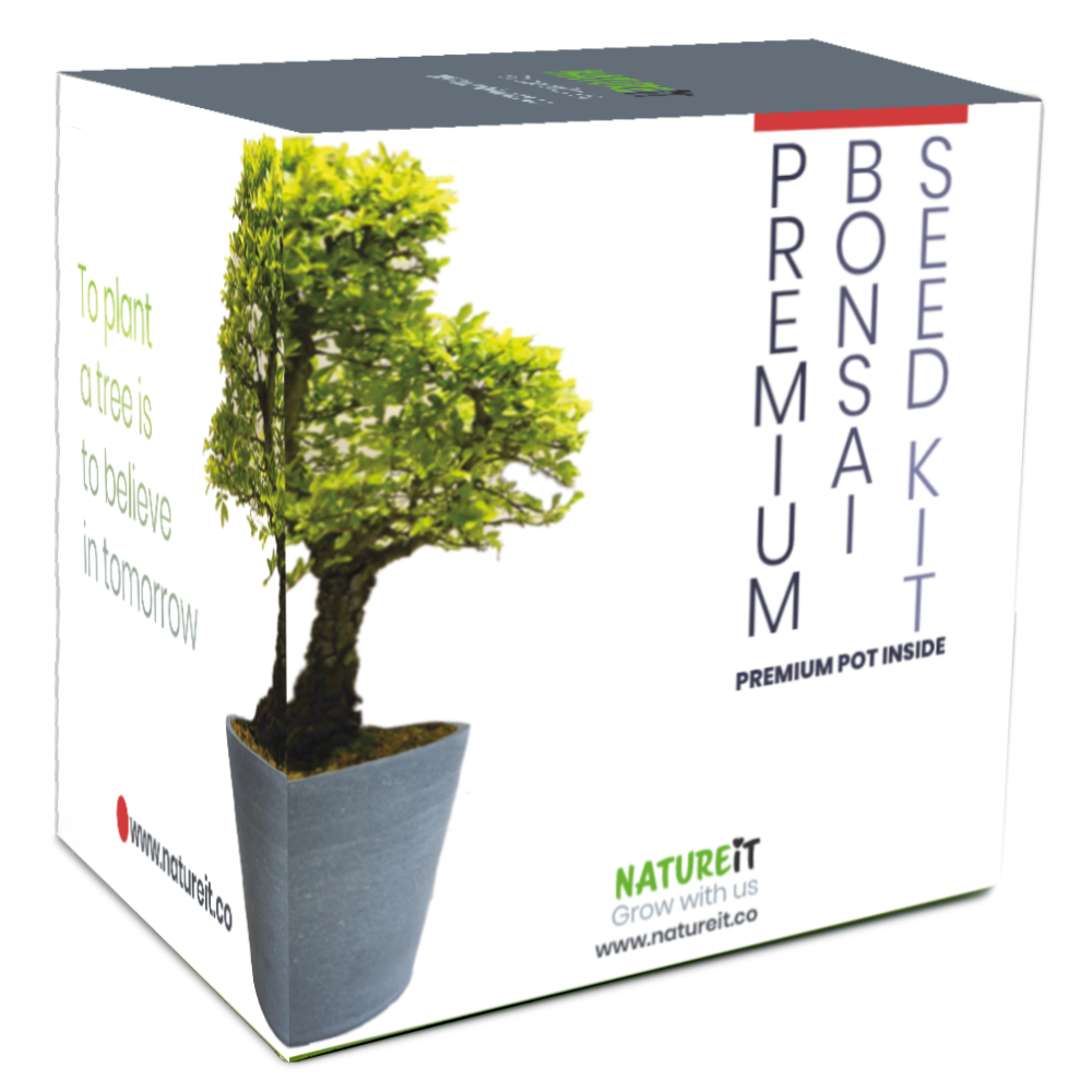 Natureit Easy to grow bonsai tree premium bonsai tree seed starter kit gift box