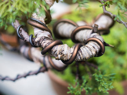 Metal Wire for Bonsai tree shaping