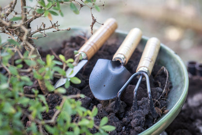 Garden tools rake and spades
