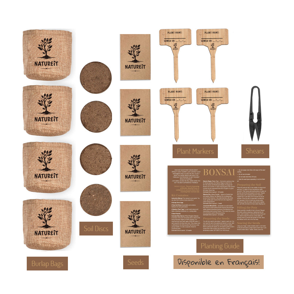 Premium Wooden Bonsai Seed Kit - Grow Your Own Bonsai - Everything You Need In One Easy Kit